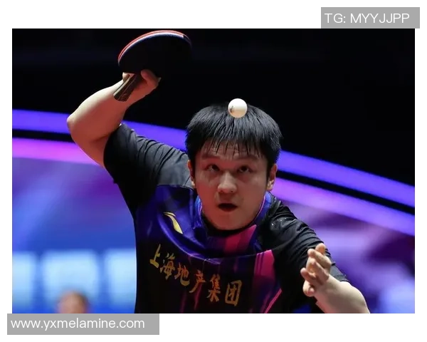 京沪男团决赛再度对决樊振东王楚钦能否助上海队复仇成功