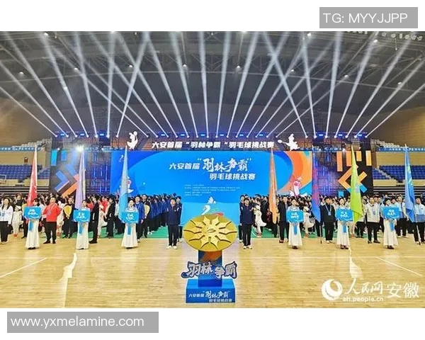 聚焦高质量发展安徽六安推动皖西白鹅产业链升级与羽毛经济腾飞